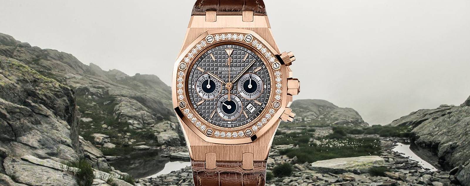 Discover the Excellence of Audemars Piguet Royal Oak Chronograph